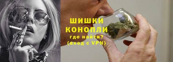 индика Лабытнанги