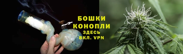 СК Арсеньев