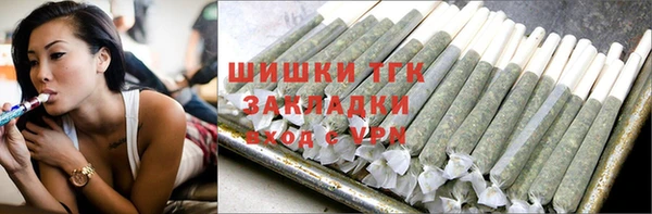 гидра Аркадак